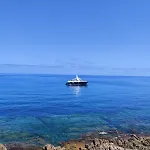 Scinniamare